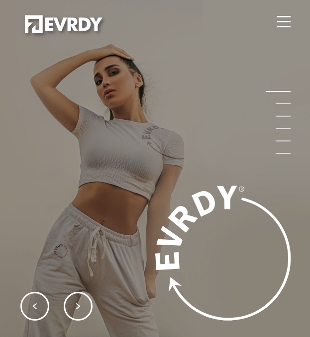 Evrdy web design